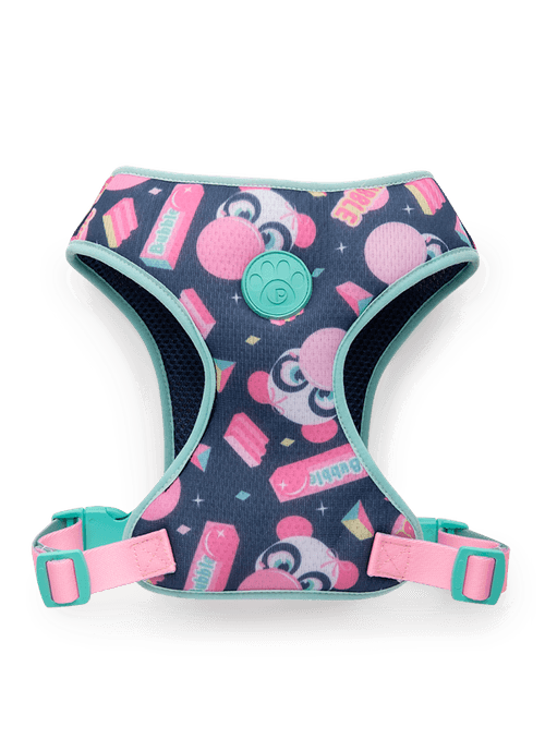 Peitoral Style para Pets Panda Summer
