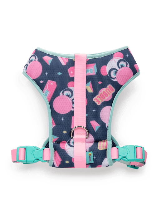 Peitoral Style para Pets Panda Summer