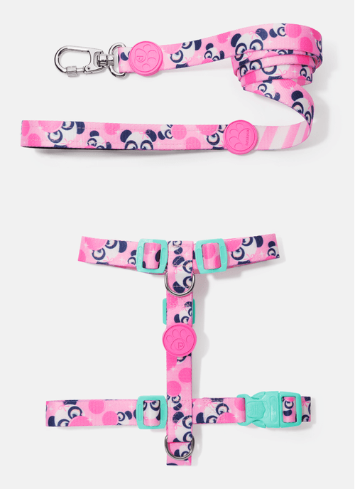 Kit Peitoral H + Guia Pets Panda Summer