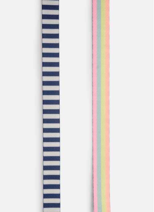 Guia Style para Pets Listrada Azul