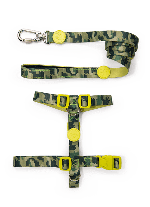 Kit Peitoral H + Guia Pets Camuflado