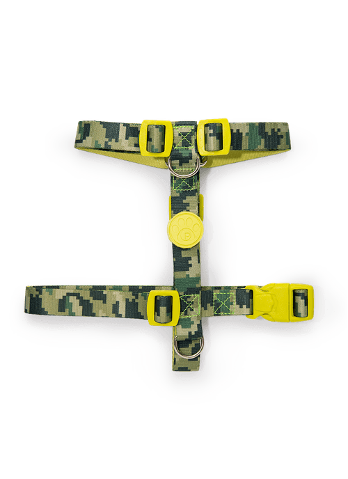 Kit Peitoral H + Guia Pets Camuflado