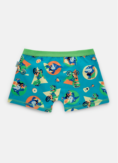 Cueca Boxer Algodão Menino Multibichos