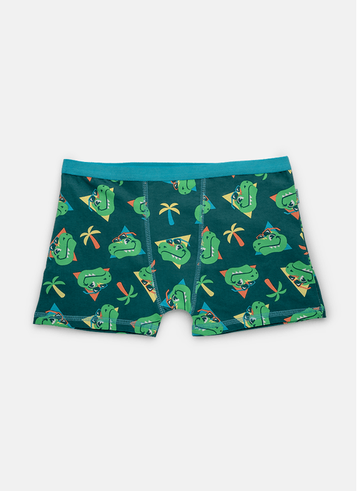 Cueca Boxer Algodão Menino Teen Dino Miami