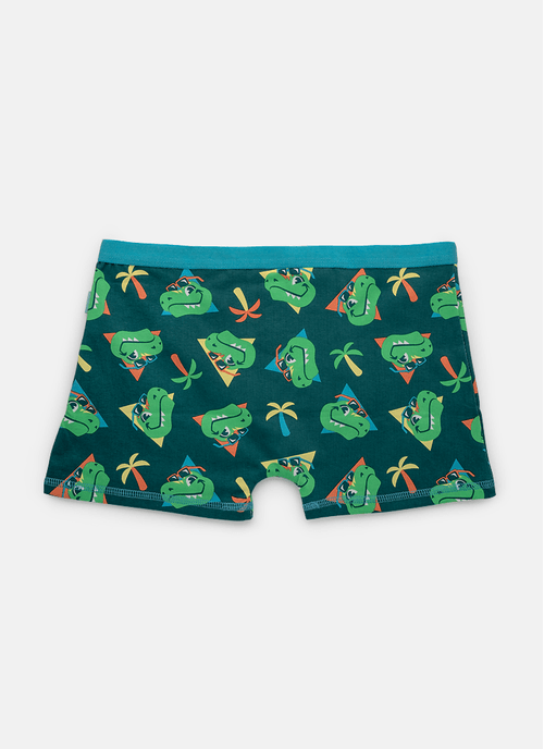 Cueca Boxer Algodão Menino Teen Dino Miami