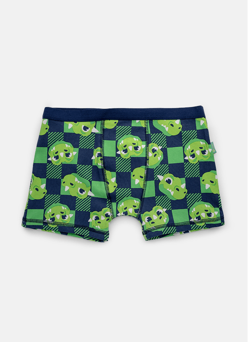 Cueca Boxer Algodão Menino Teen Dragão Camping