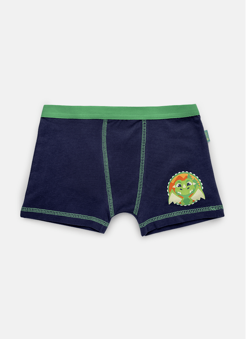 Cueca Boxer Menino Teen Dragão Camping
