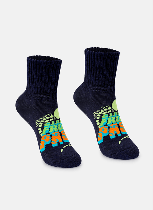 Meia Botinha Antiderrapante Menino Dinossauro Fósseis