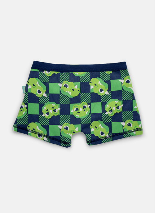 Cueca Boxer Algodão Menino Dragão Camping