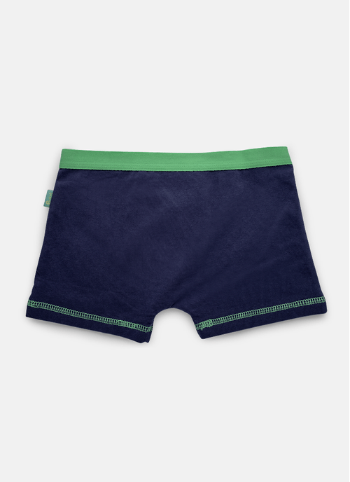 Cueca Boxer Algodão Menino Teen Dragão Camping